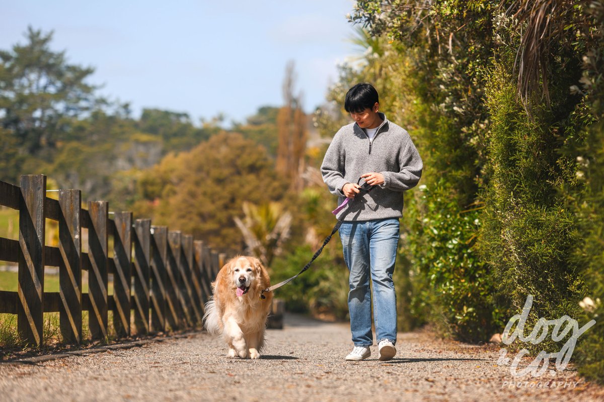 Don walking Lucky along a sunny path